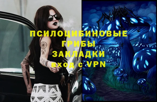 spice Армянск