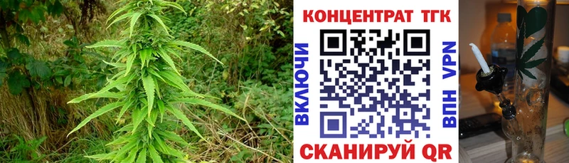Дистиллят ТГК Wax Высоковск