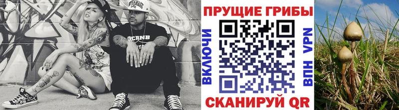 сколько стоит  Высоковск  Псилоцибиновые грибы мицелий 